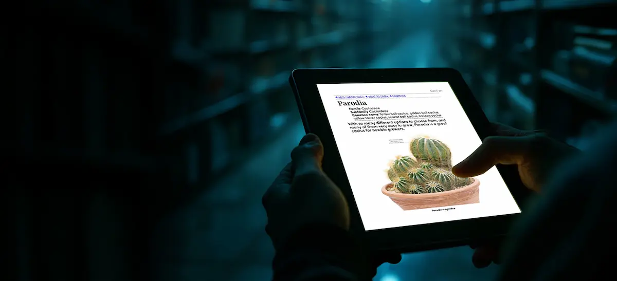 Innovative Digital Library Services